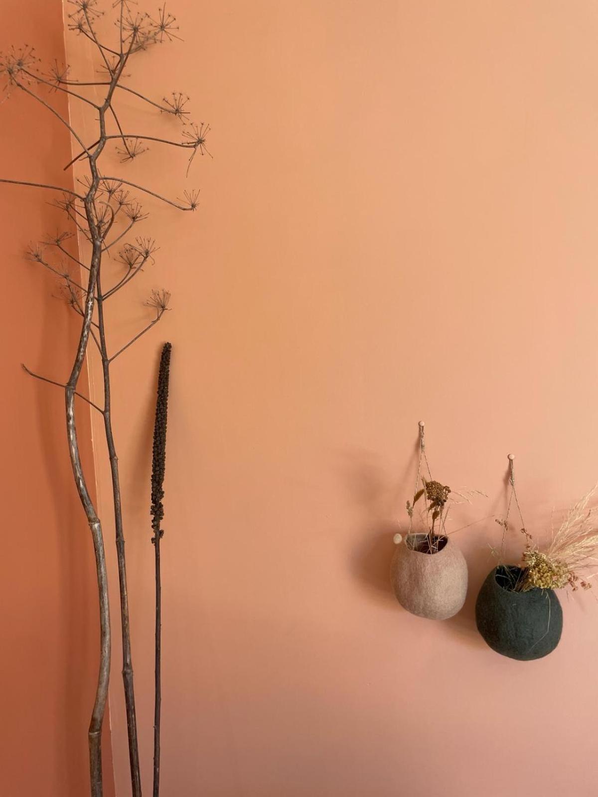 Les Petites Maisons Sotta Ngoại thất bức ảnh